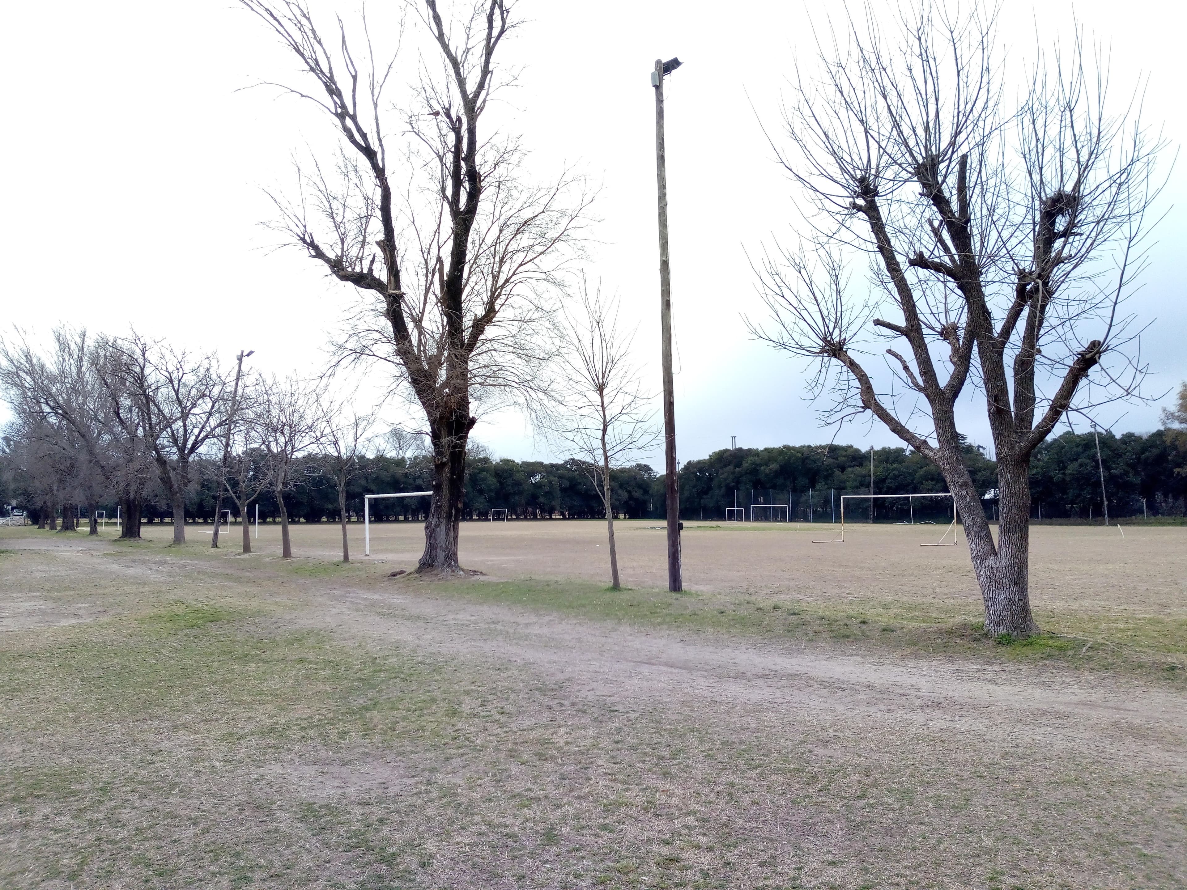 Ciudad Deportiva Pablo Aimar - Cancha principal y campos de entrenamiento